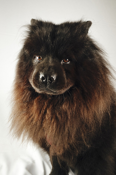Portrait studio 1